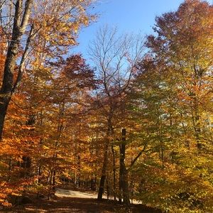 Meet your Posher, Alina